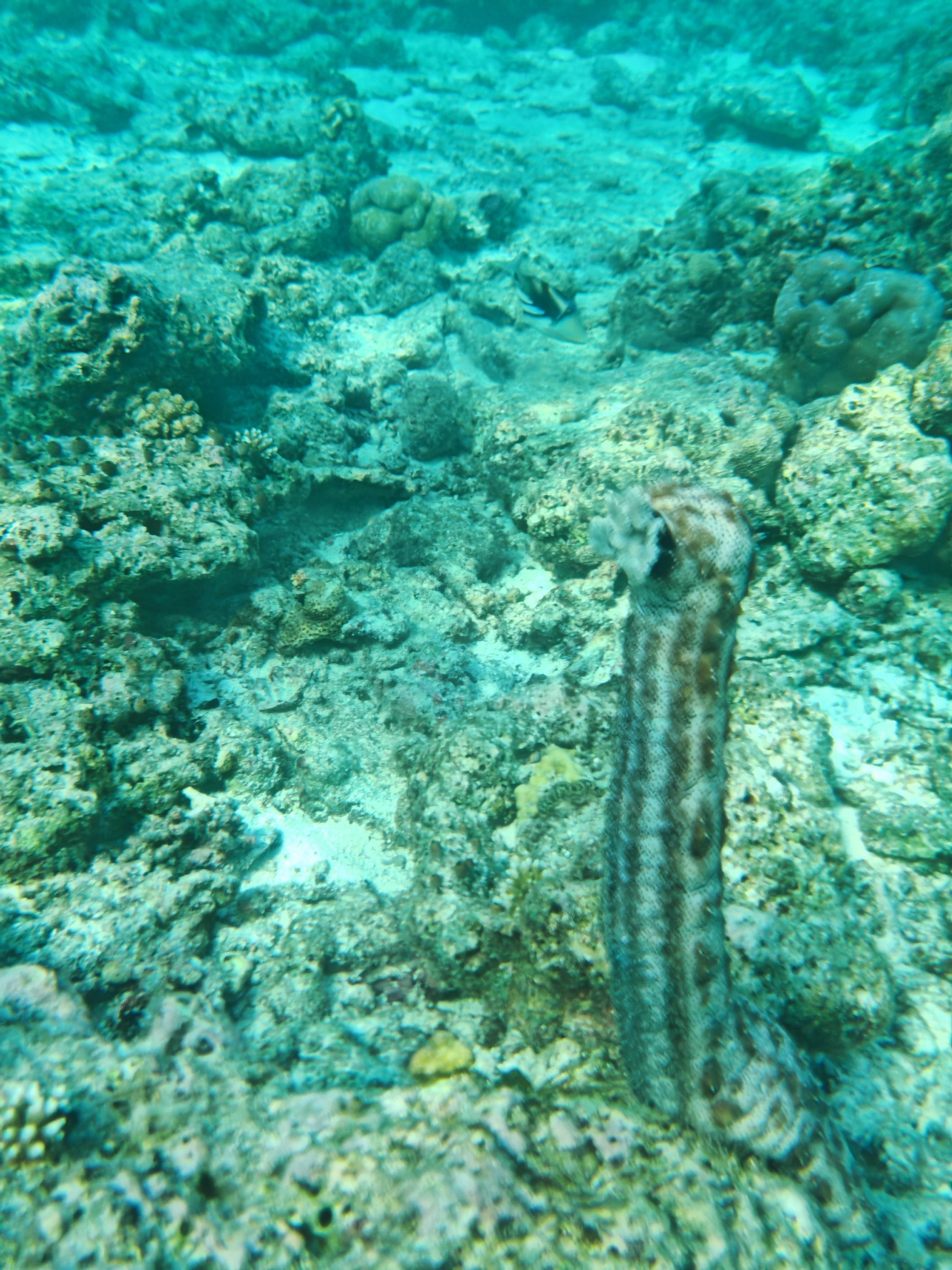 OBLU SELECT Lobigili-泳池