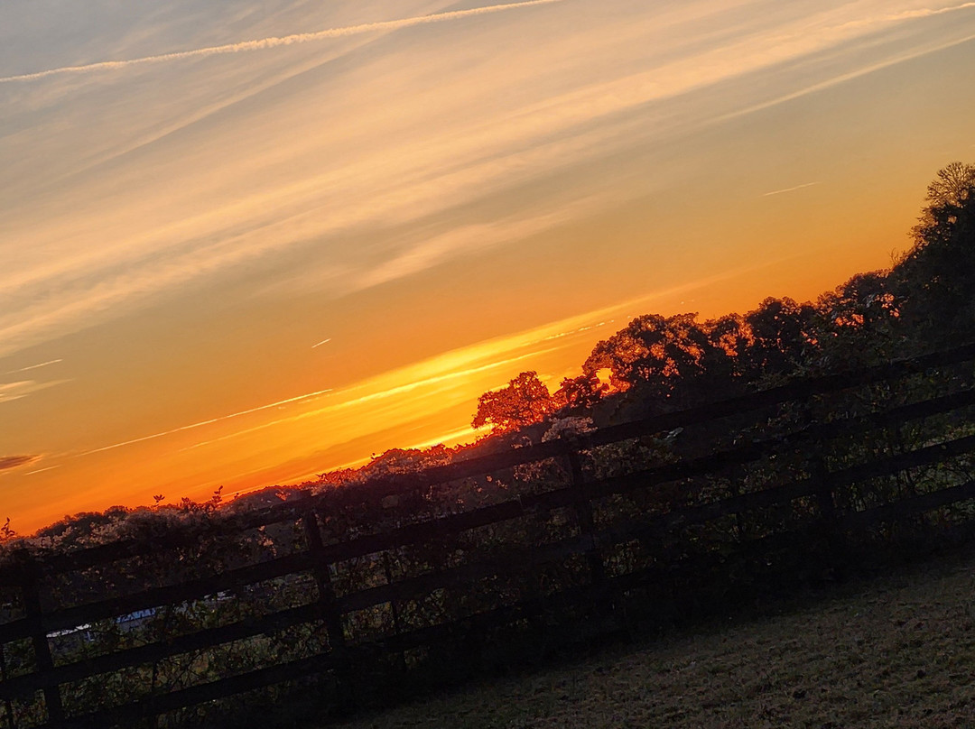 Belton Bed And Breakfast主图