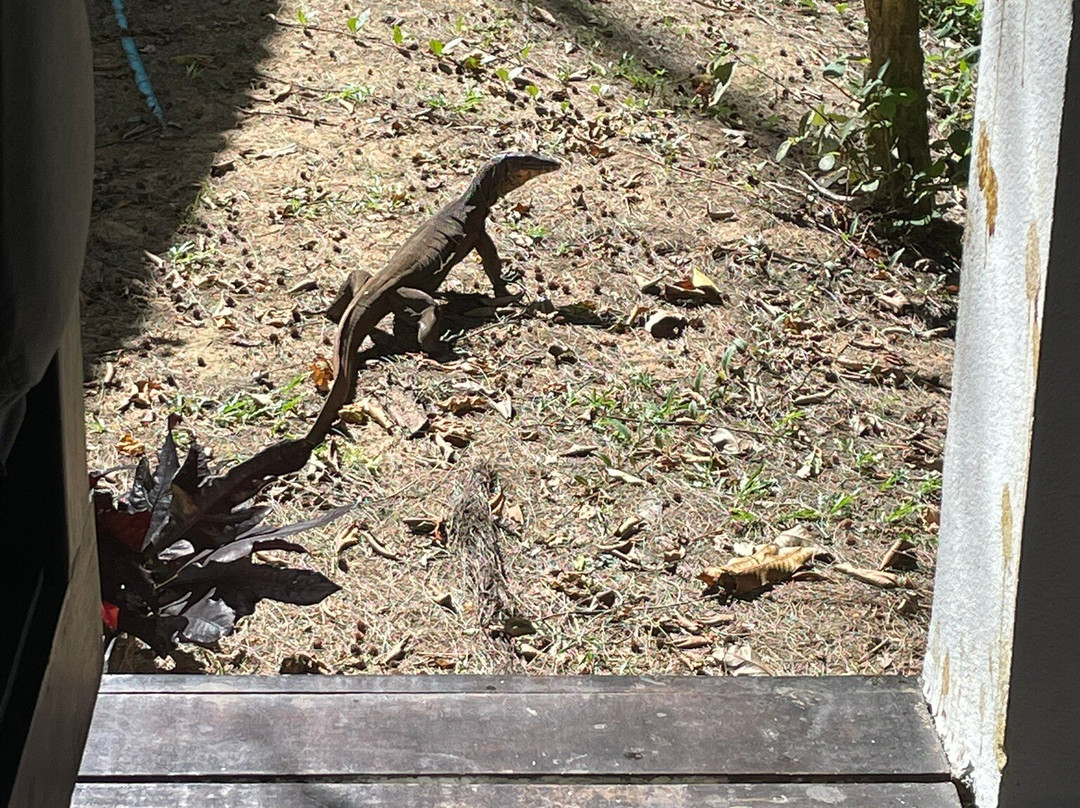 海德之子度假村主图