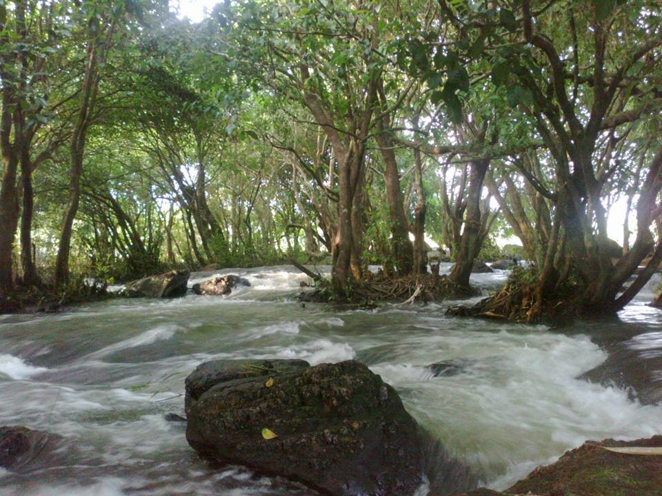 Forest View Home stay Pniyeli