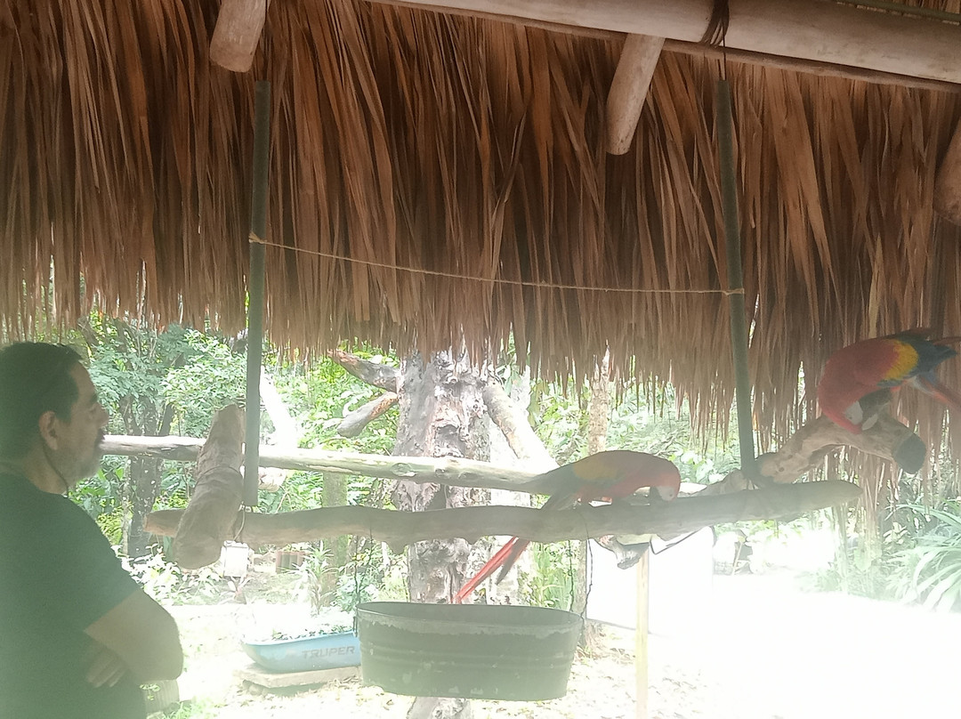 Aluxes Ecoparque-帕伦克必去景点