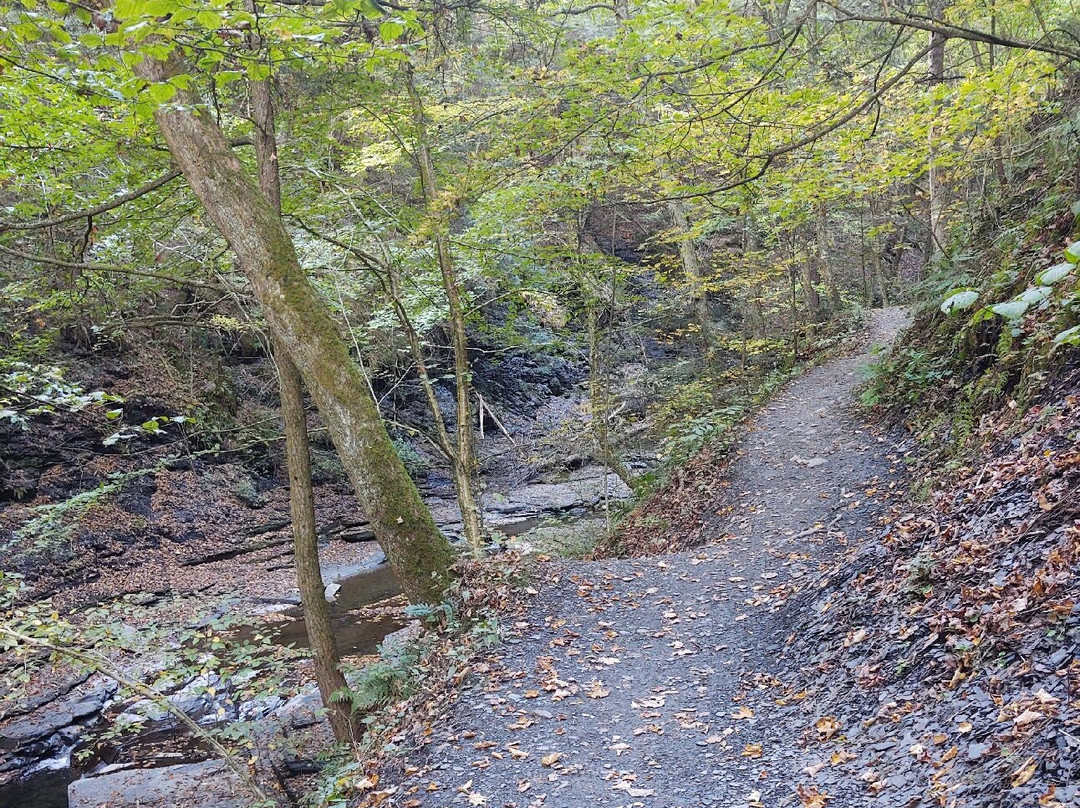 Fillmore Glen State Park-Moravia必去景点