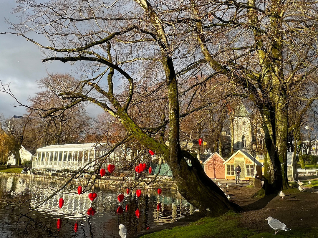 Breiavatnet-斯塔万格必去景点