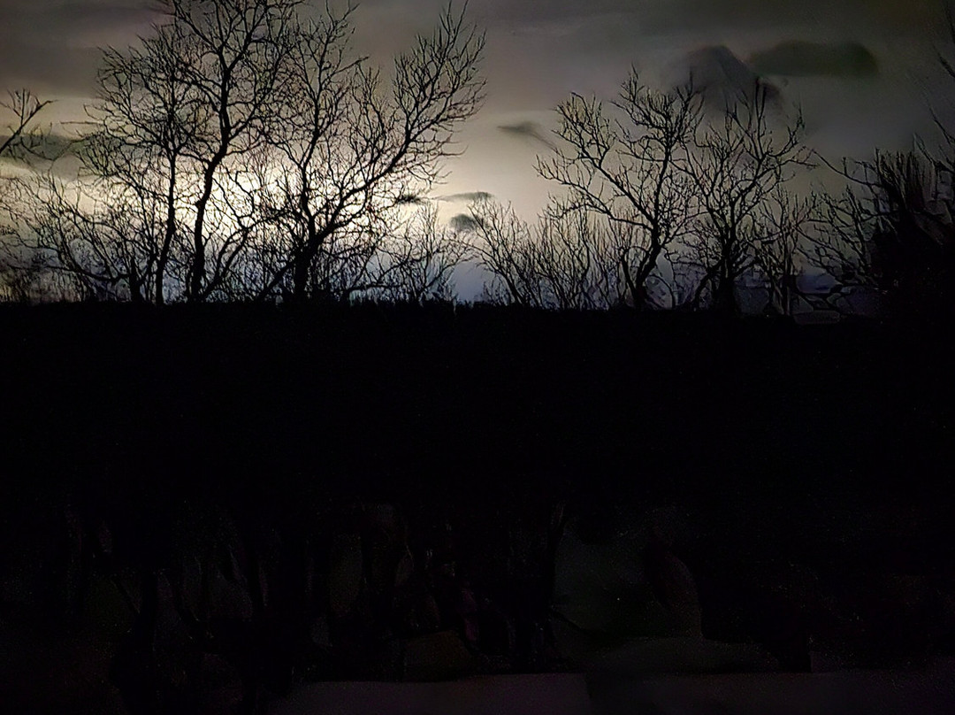 Firesky Guiding-阿比斯库必去景点