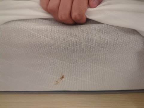 劳德代尔堡西部万豪TownePlace酒店主图