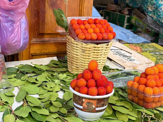 Moroccan Food Tour-拉巴特必去景点