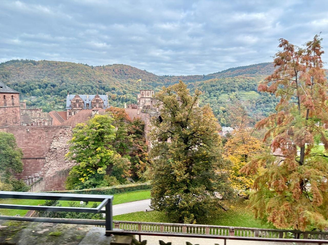 海德堡旧城区-海德尔堡必去景点