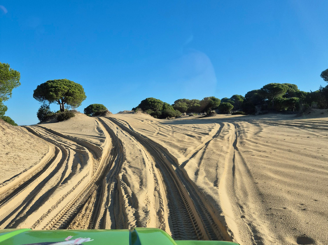 Donana Visitas-El Rocio必去景点