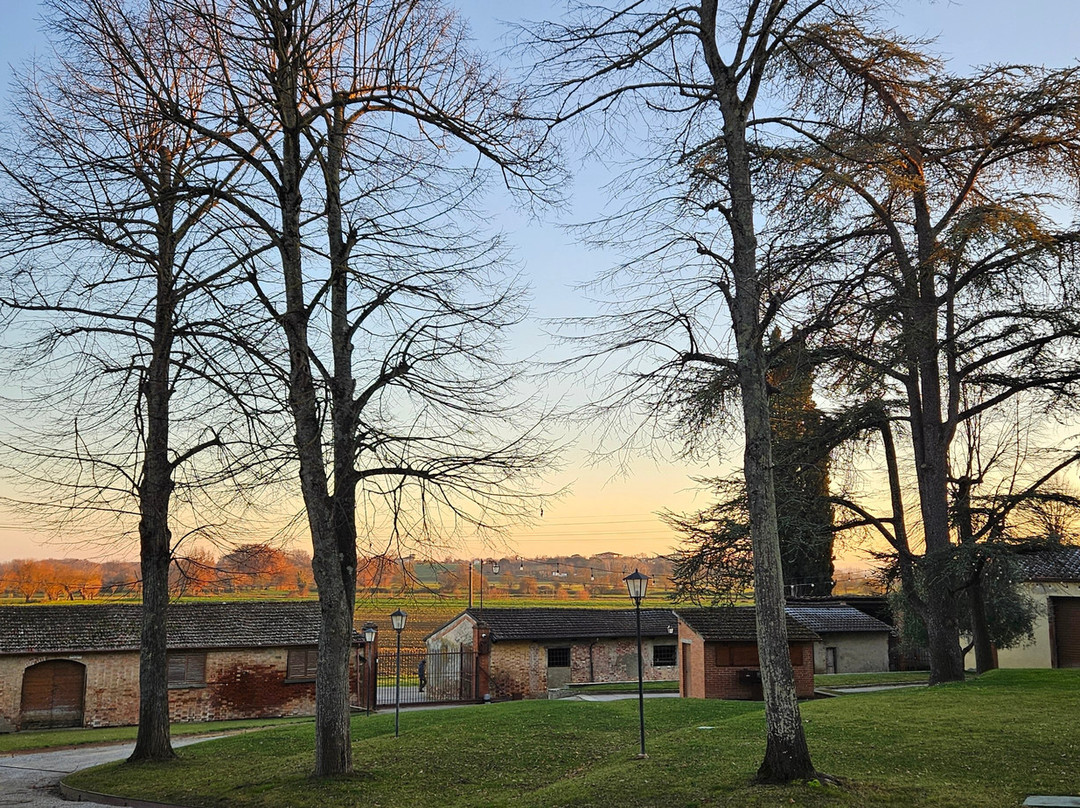 Tenuta di Frassineto-阿雷佐必去景点
