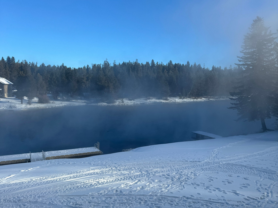 SpringHill Suites by Marriott Island Park Yellowstone主图