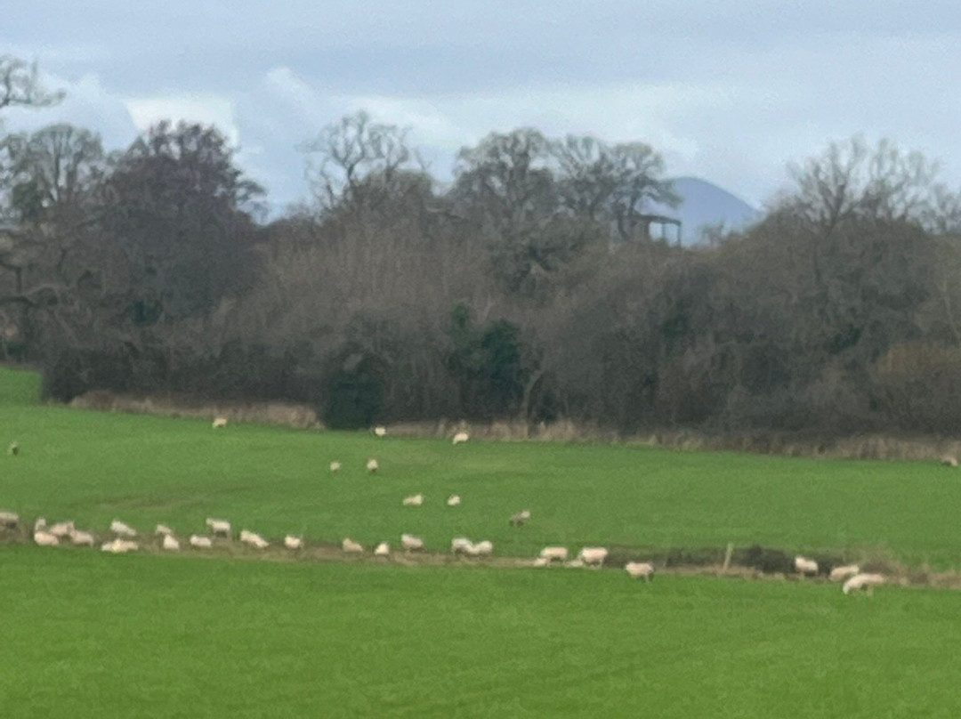 Gwern-Eiddig Farmhouse B & B主图