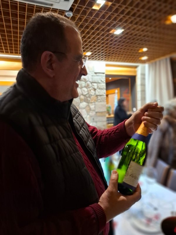 Hotel Solar Palmeiras-官方