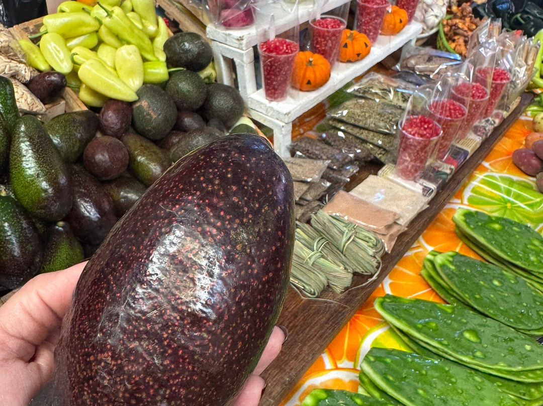 Mercado Ignacio Ramirez-圣米格尔护城必去景点