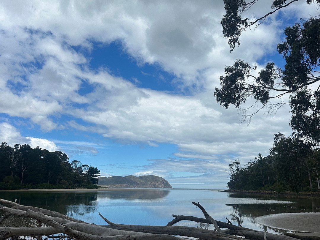 Tassie Tours Tasmania-霍巴特必去景点