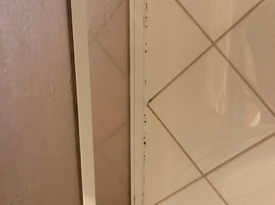 斯科尼霍夫酒店主图