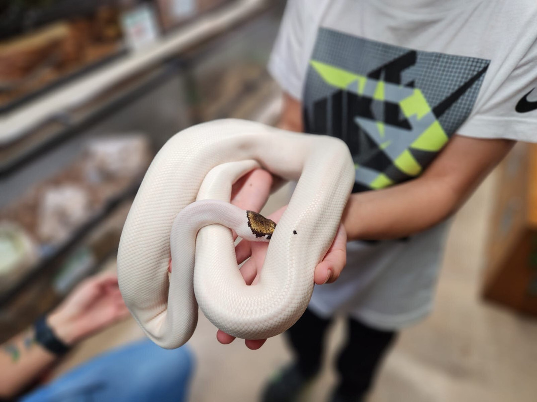 Phoenix Herpetological Sanctuary-斯科茨代尔必去景点