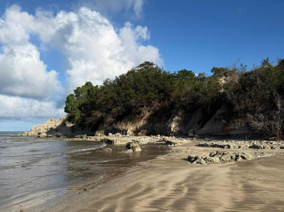 Imbassuaba Beach (Arnaldo)-Cumuruxatiba必去景点