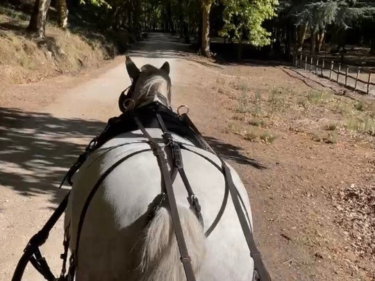 Tapada Nacional de Mafra-Mafra必去景点