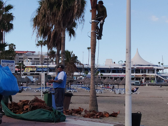 Playa de la Pinta-圣克鲁斯-德特内里费必去景点