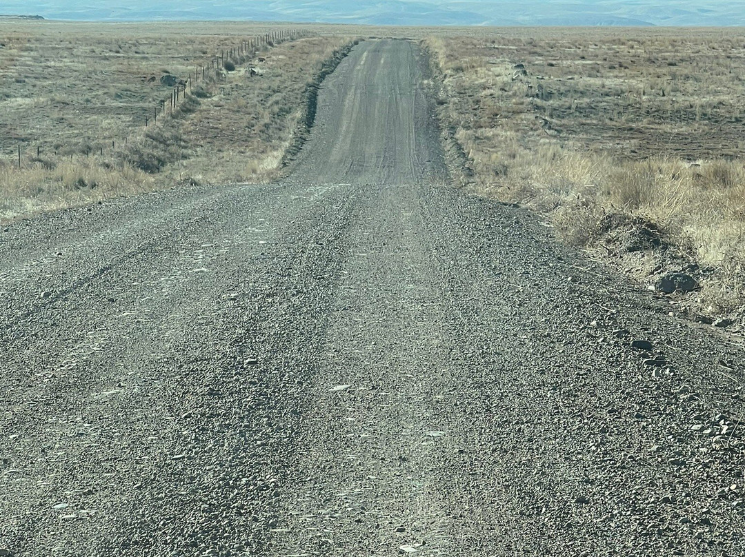 Bruneau Canyon-Bruneau必去景点