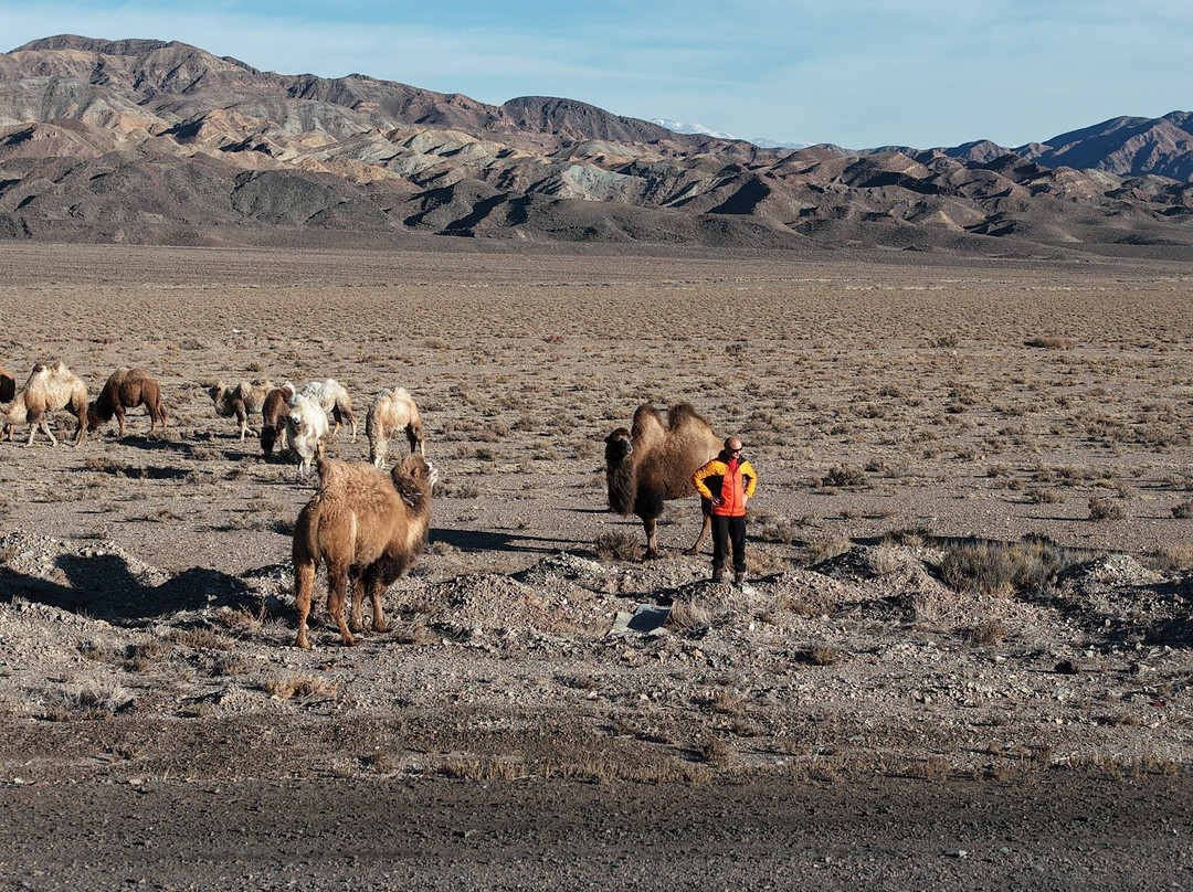 Orto-Tokoy Water Reservoir-Kochkor必去景点