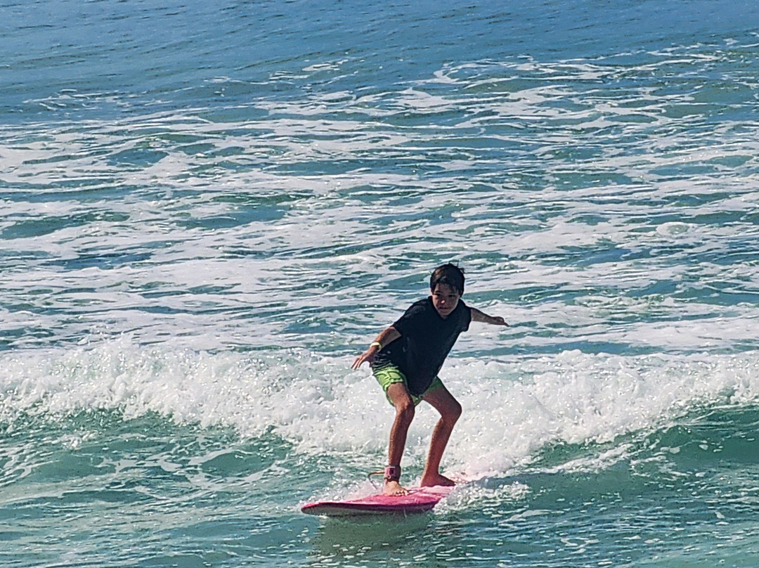 Freights bay surf school-Enterprise必去景点