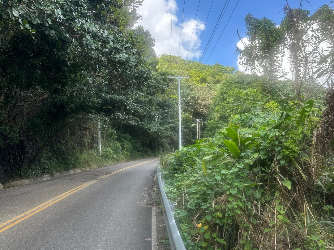 Zona Bici Bike Rental & Tours-圣多明哥必去景点