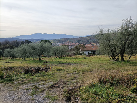 Via della Fiaba Pescia - Collodi-佩夏必去景点