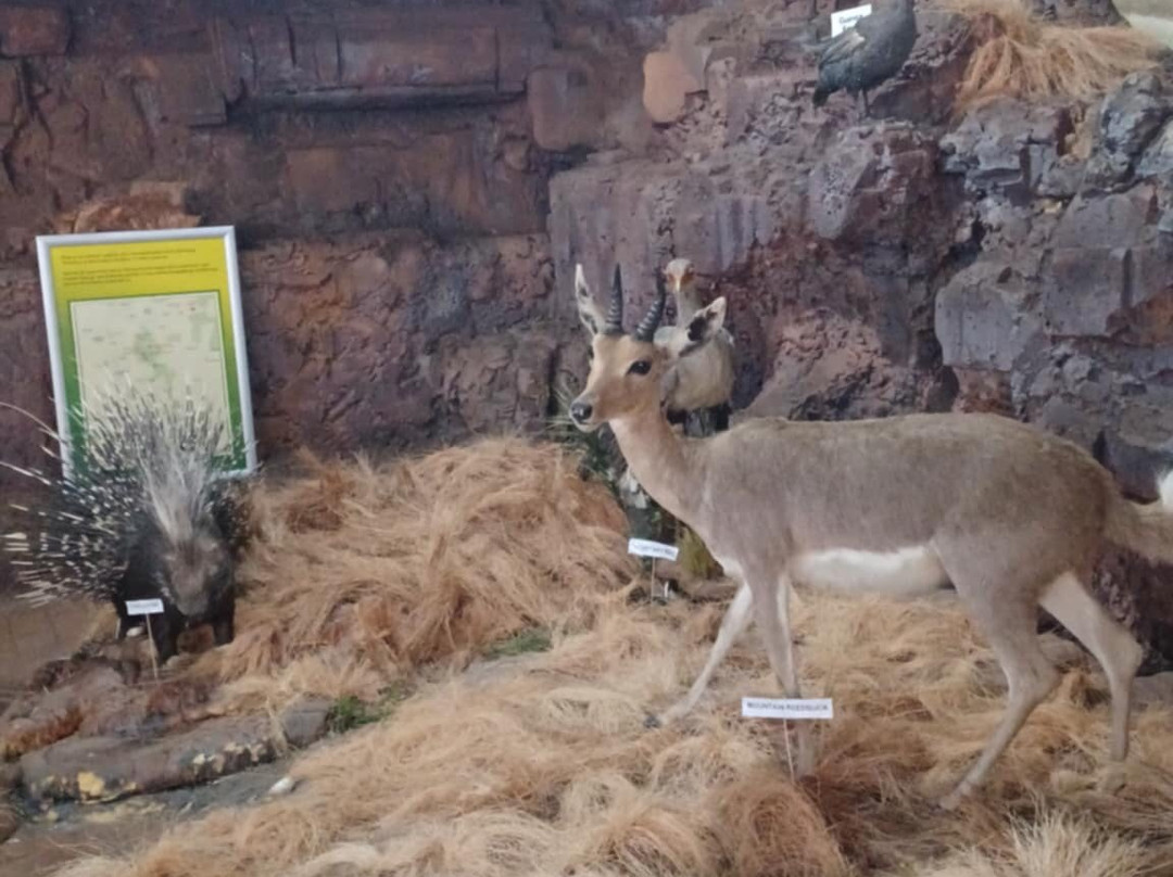 Interpretation Centre & Blyde Museum-Moremela必去景点