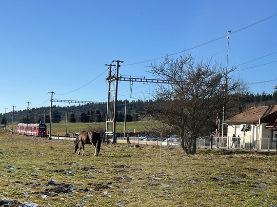 Chemins de fer du Jura-Saignelégier必去景点