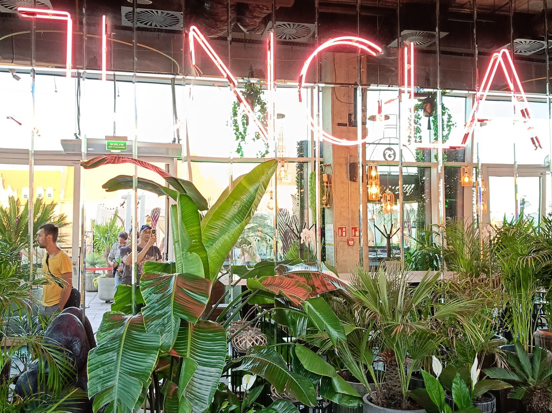 Jungla-格但斯克必去景点