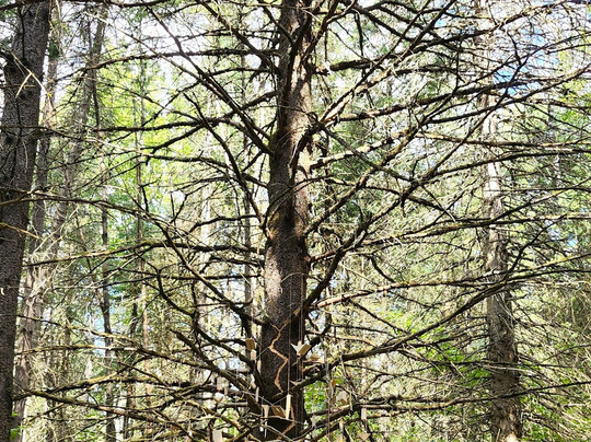 Parc Du Brûlé-Lac-Beauport必去景点