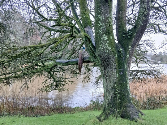 Johnstown Castle-County Wexford必去景点