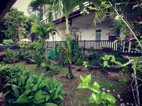 L'oiseau de Paradis主图