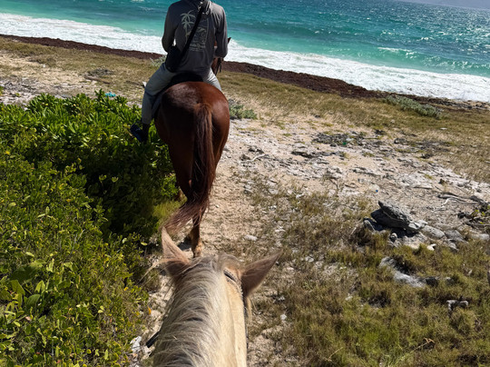 Seaside Stables Anguilla-West End Village必去景点