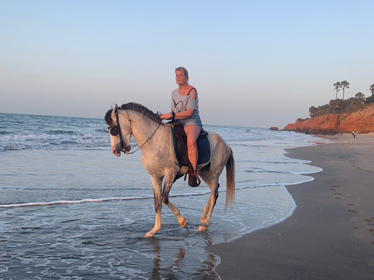 Kotu Horses-Kotu必去景点