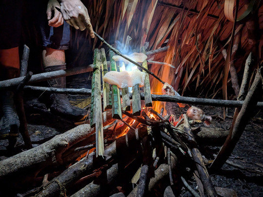 Amazon Brasil Jungle Tours-玛瑙斯必去景点