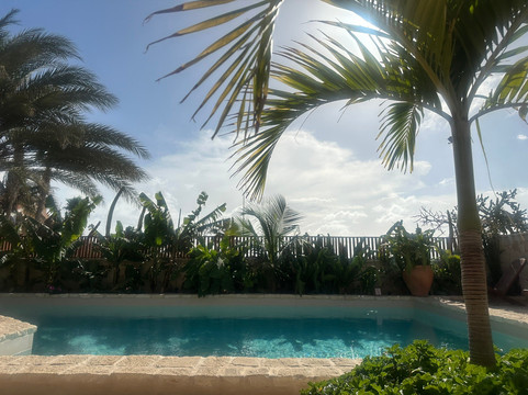 Orquidea Guest House主图