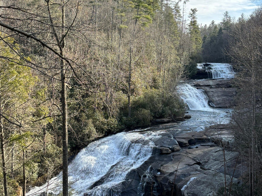 DuPont State Recreational Forest-Cedar Mountain必去景点