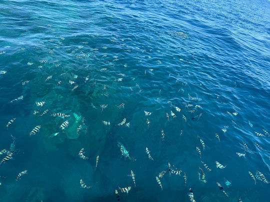 Hydro Sports-辛加东卡必去景点