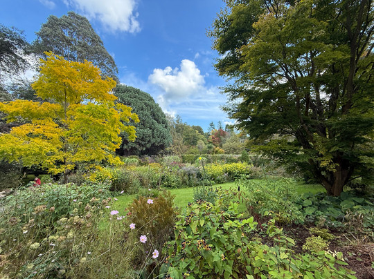 Mount Usher Gardens-Ashford必去景点