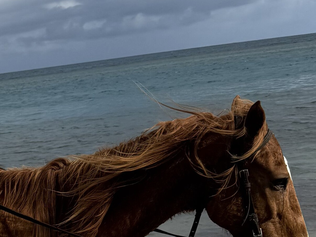 Chukka Seville Outpost-Priory必去景点