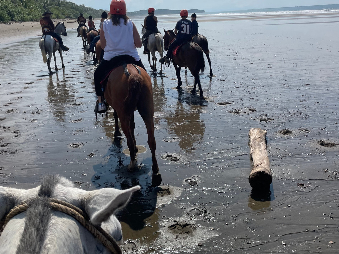 Rancho La Merced National Wildlife Refuge-乌维塔必去景点