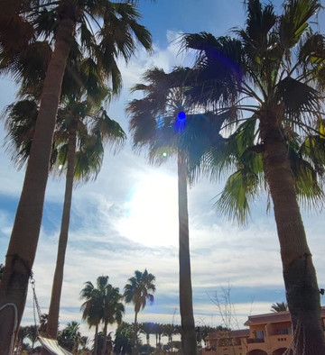 Seaworld Travel Egypt-马萨阿拉姆必去景点