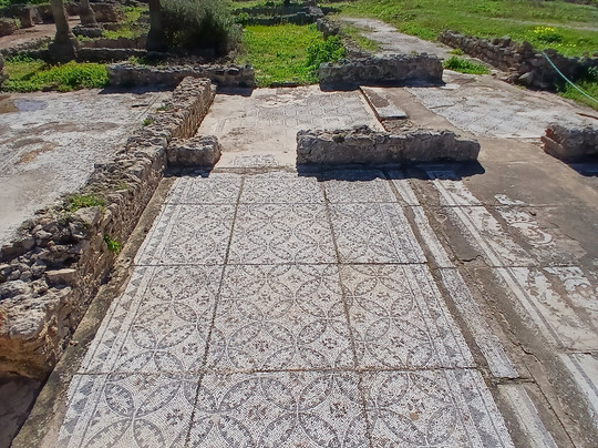 Pupput Roman Site-哈玛麦德必去景点