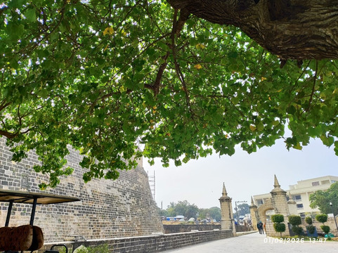 Diu Fort-弟乌必去景点