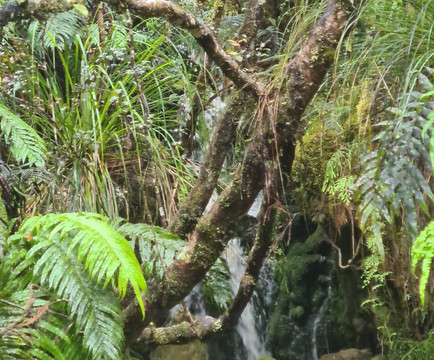 Okarito Kayaks-Okarito必去景点