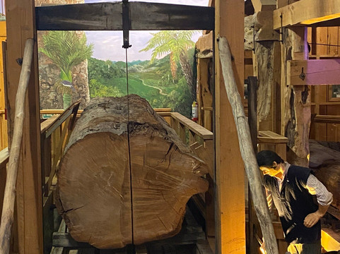 The Kauri Museum-Matakohe必去景点