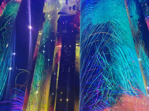 teamLab Phenomena Abu Dhabi-阿布扎比必去景点