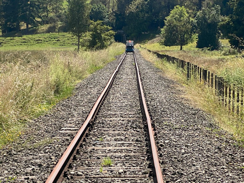 Forgotten World Adventures-Taumarunui必去景点